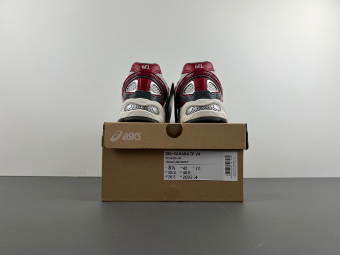 ASICS Gel-Kahana TR V4 