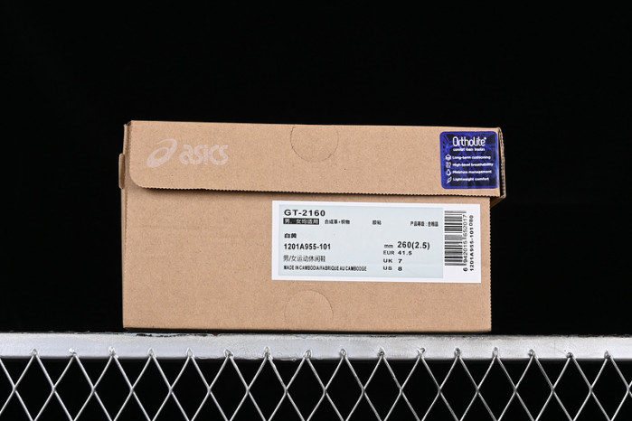 Kith x ASICS GT 2160 