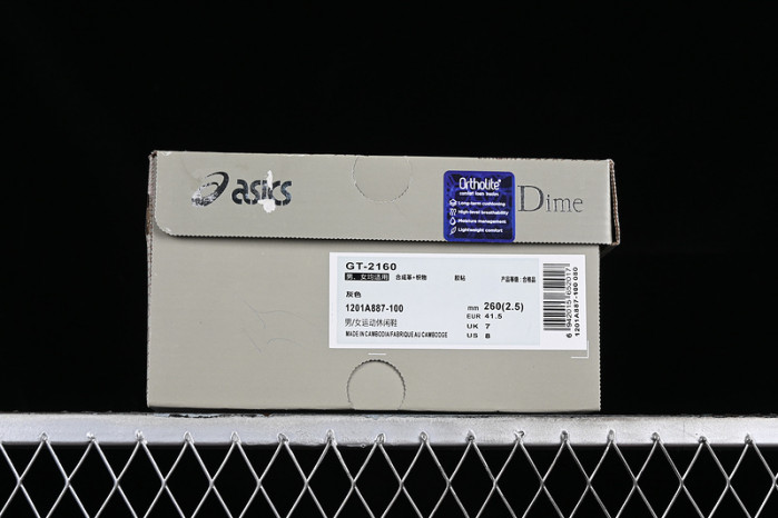 ASICS GT‑2160 DIME Arctic Wolf 1201A887‑100