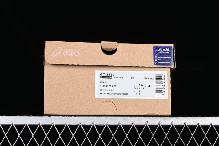 Asics Men GT-2160 Oyster Grey 1203A320-020