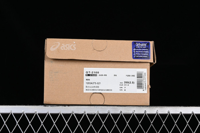 ASICS - GT-2160 Sneaker in Brick Dust - 1203A275-021