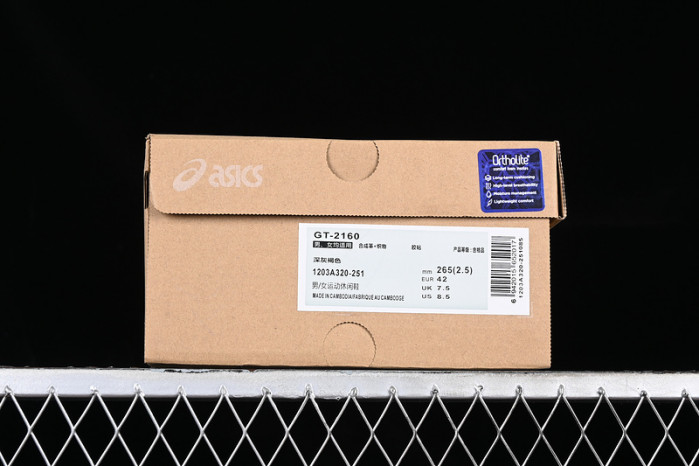 ASICS GT-2160 Low Dark Taupe Purple - 1203A320-251