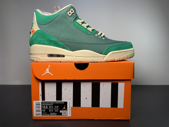 Nina Chanel Abney x Air Jordan 3 OG FZ7974-300