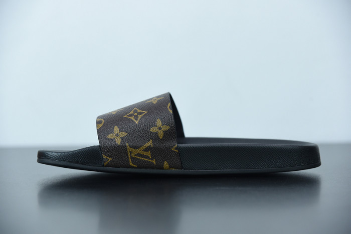 LUSV SLIDE